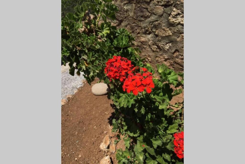 Gerani Maison Agios Aimilianos Beautiful View ポルト・ヘリ エクステリア 写真